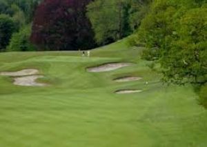 Golf @ Kilkenny Hibernian Hotel